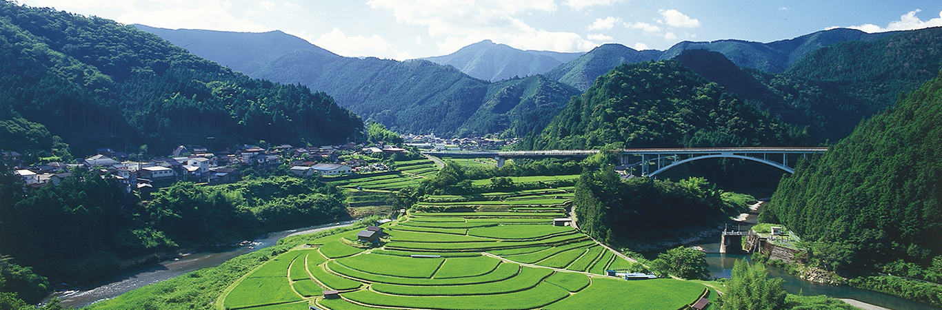 蘭島及び三田・清水の農山村景観