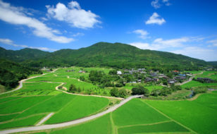 田染荘小崎の農村景観