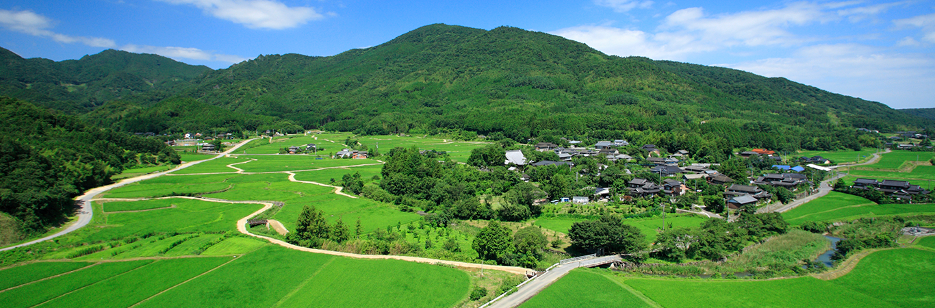 田染荘小崎の農村景観