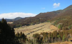 坂元棚田の全景