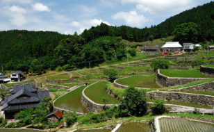 小鹿田焼の里・池ノ鶴地区の棚田