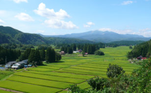 慈恵塚からの眺め