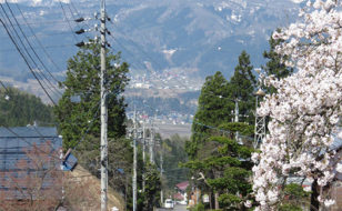 集落の中心を通る参道から眺める妙高山