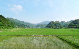 今富の農村風景