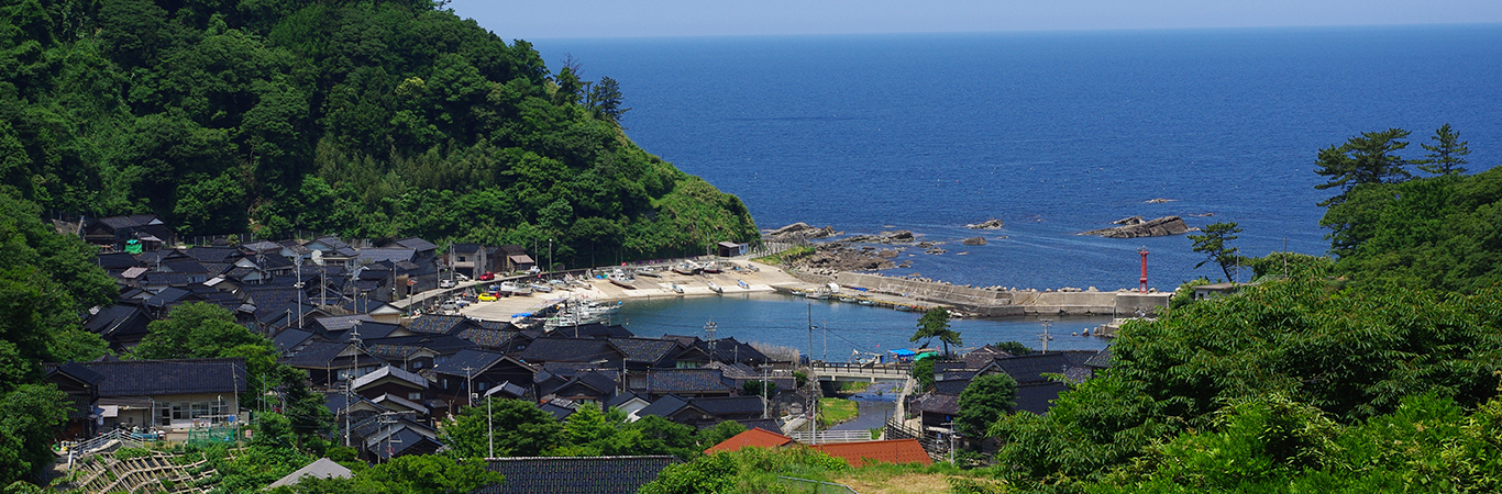 大沢・上大沢の間垣集落景観