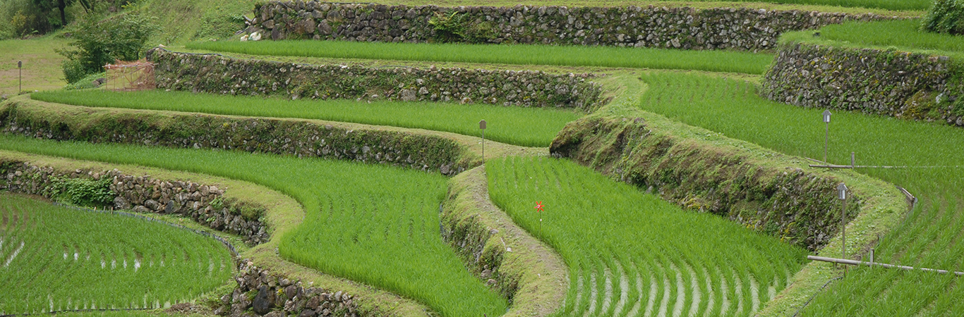 四万十川流域の文化的景観　上流域の山村と棚田