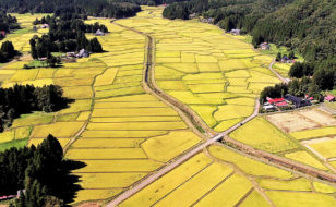 岩手県一関市