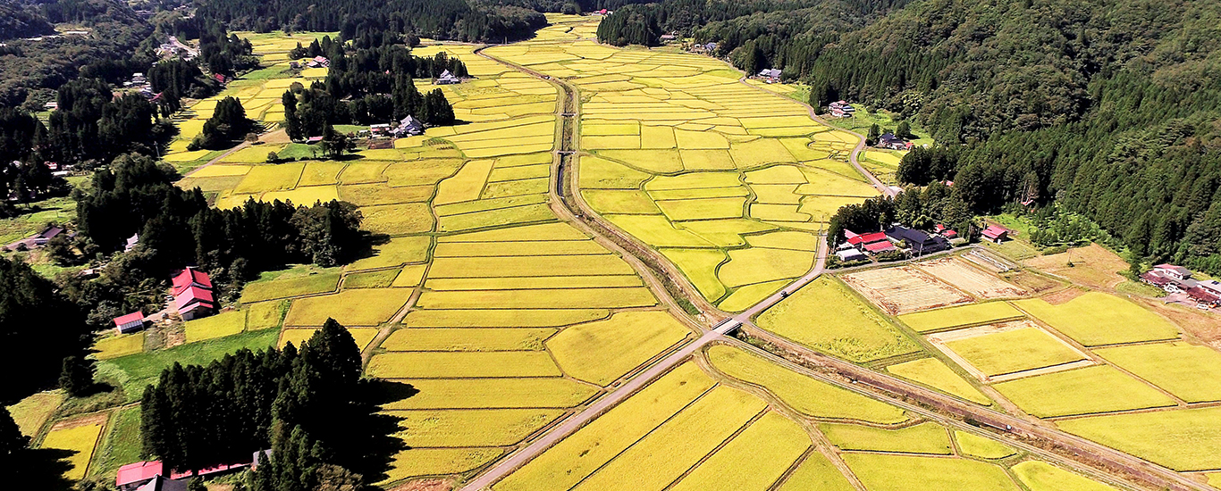 岩手県一関市