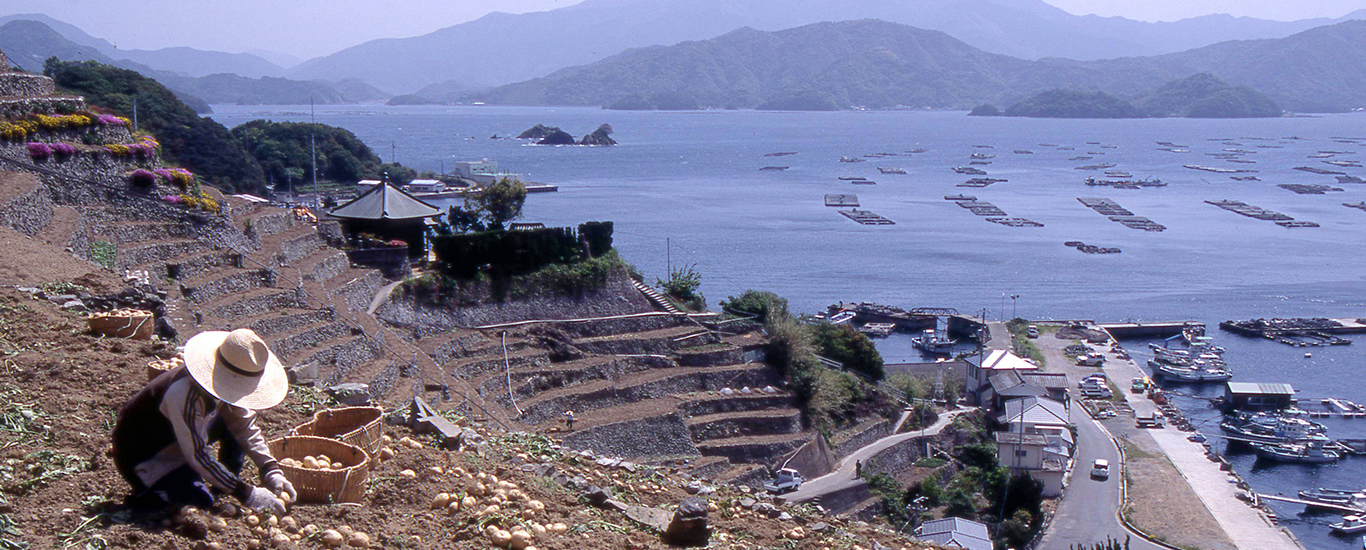 愛媛県宇和島市