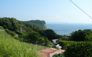 蕨集落の土地利用と農作業風景