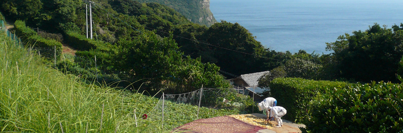 蕨集落の土地利用と農作業風景