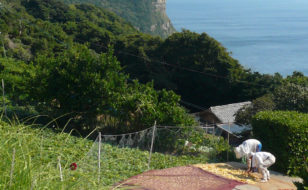 蕨集落の土地利用と農作業風景